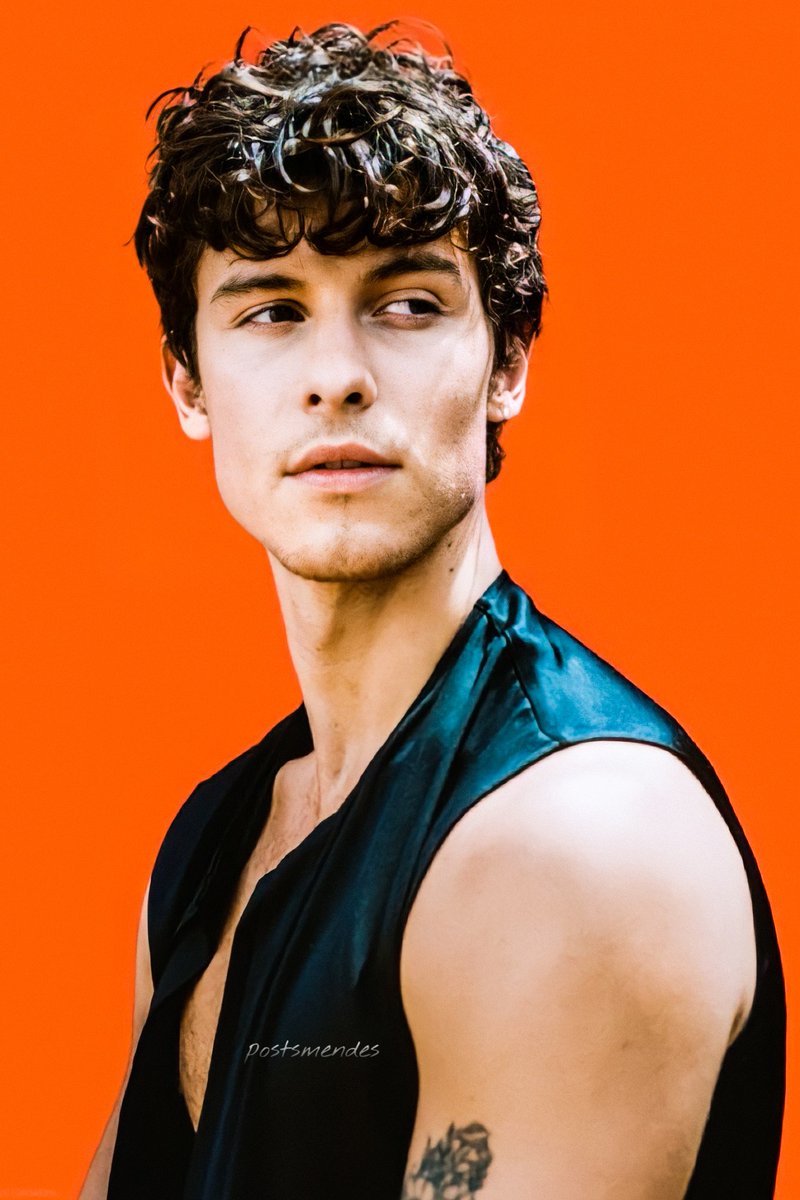 postsmendes's tweet photo. shawn mendes is art. https://t.co/9KzdgUOL6M