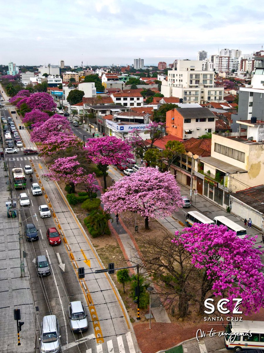 Santa Cruz, Bolivia tweet media