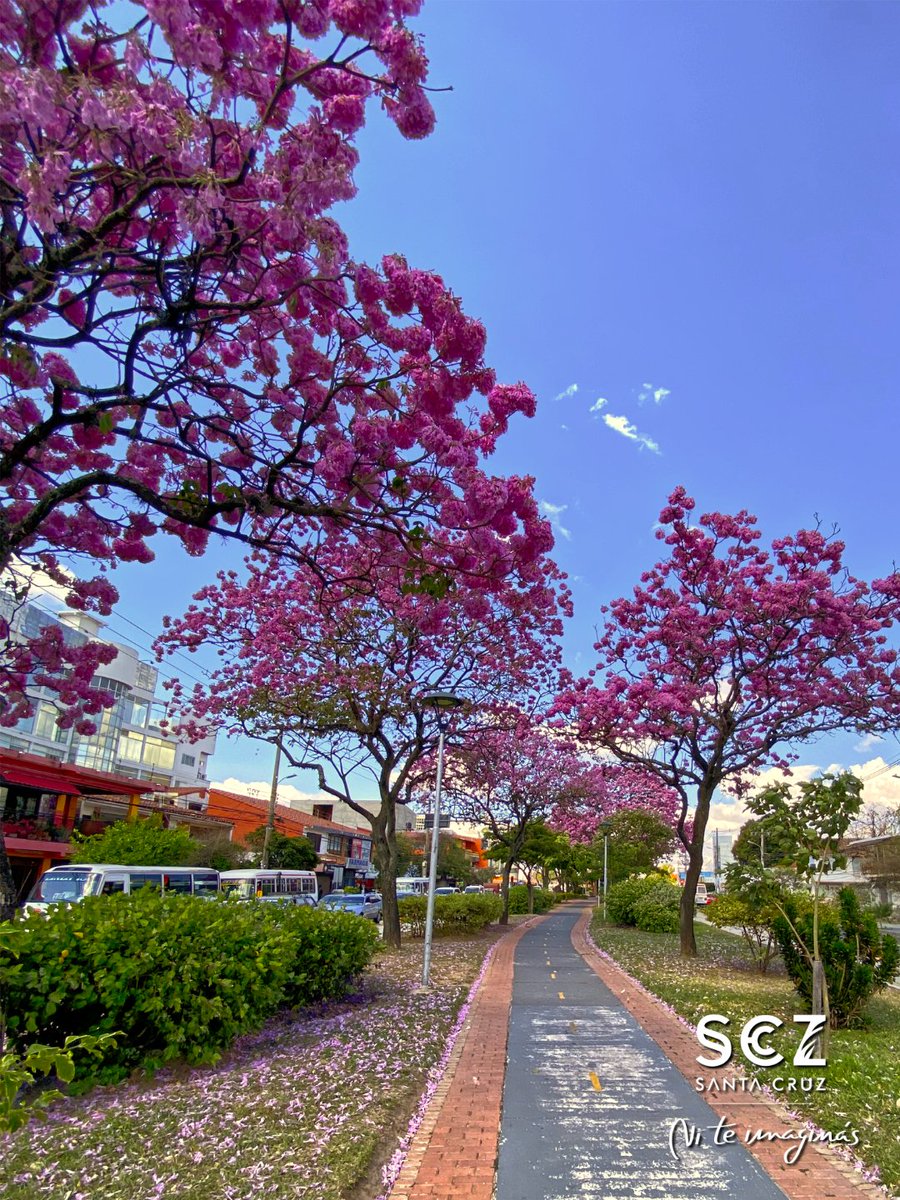 Santa Cruz, Bolivia tweet media