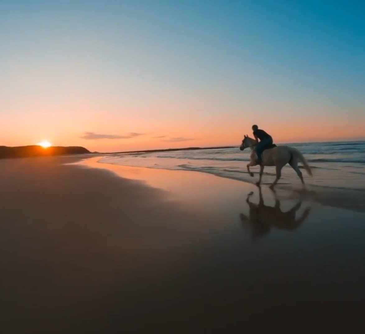 Riding into the Sunset #sunset #horses #horse #beach #northumberland #seahouses #bamburgh 📸 @brandon2002tang