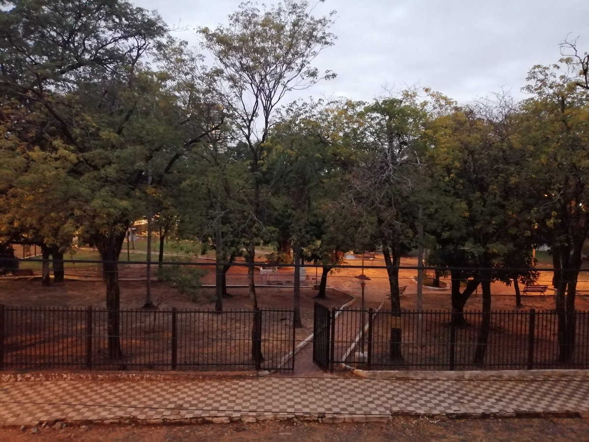 RobertoZelay's tweet photo. @cesarojedapy buenas tardes querido Intendente, quisiera pedir tu ayuda para reparar los focos de nuestra plaza Héroes del Chaco de trinidad. Seguimos apostando a Uds, excelente gestión!! https://t.co/IEcon0PbDp