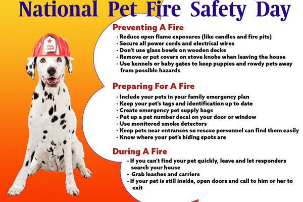 Urgent Pet Care Urgentpetcareom Twitter