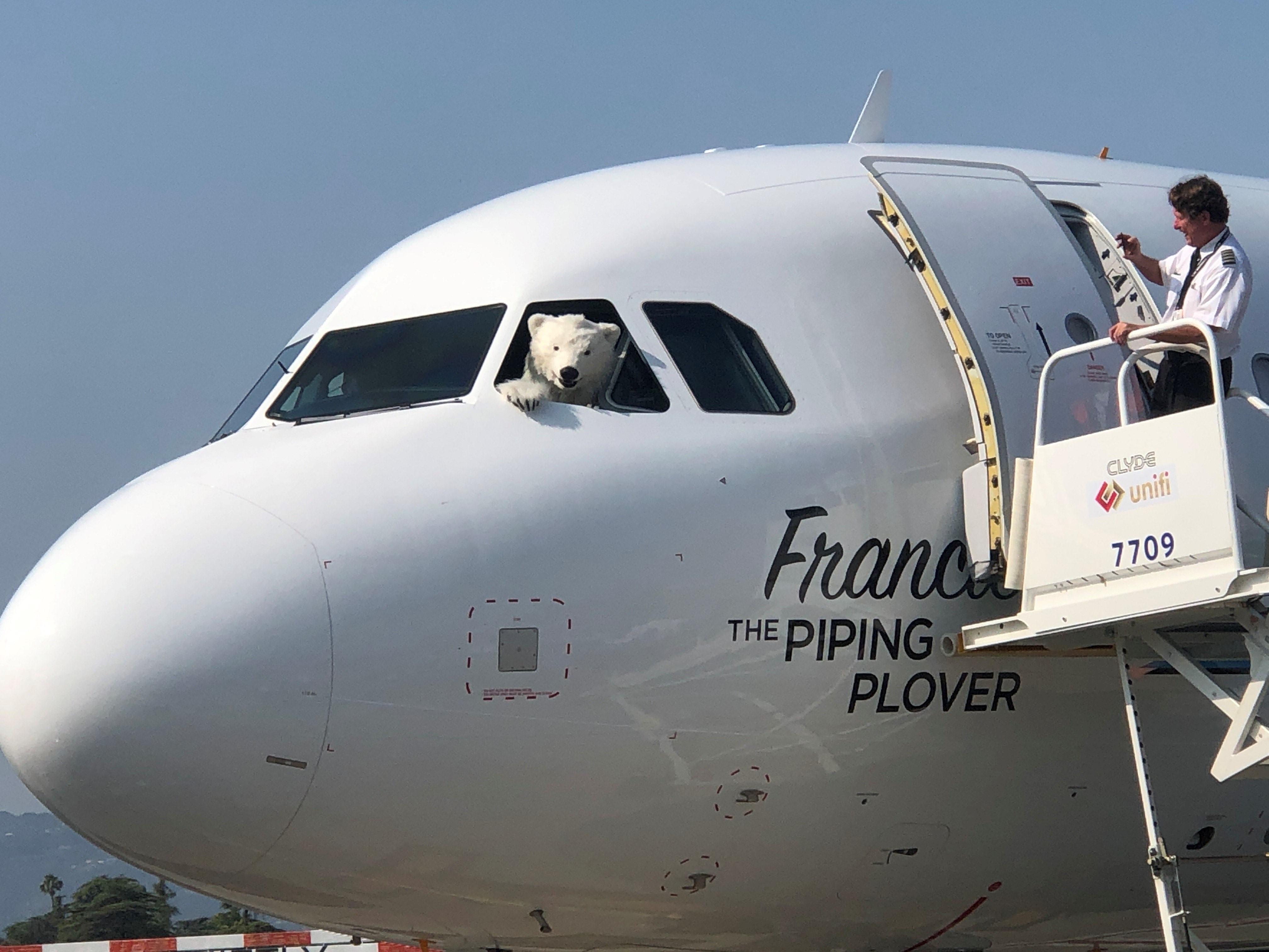 Frontier Airlines on Twitter "Lights, camera, action! 📽 Today we launched new nonstop flights