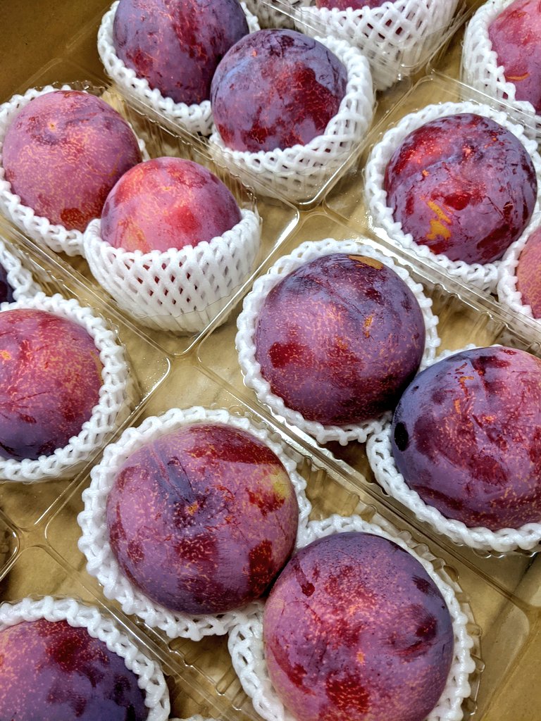 Top Tweets For 貴陽 Instalker