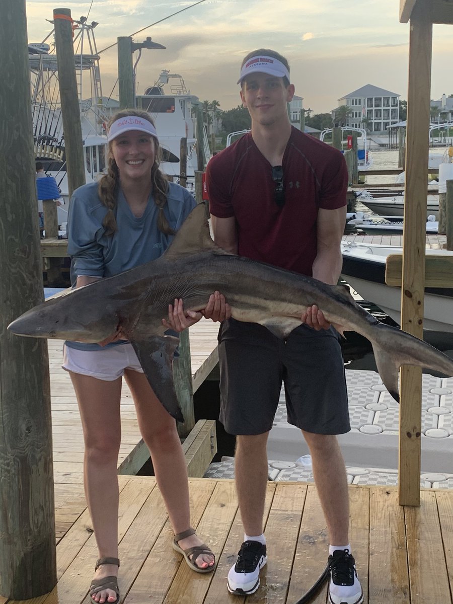 wfortner14's tweet photo. Fun fishing trip! #Blacktips https://t.co/0TkmaOwZsa