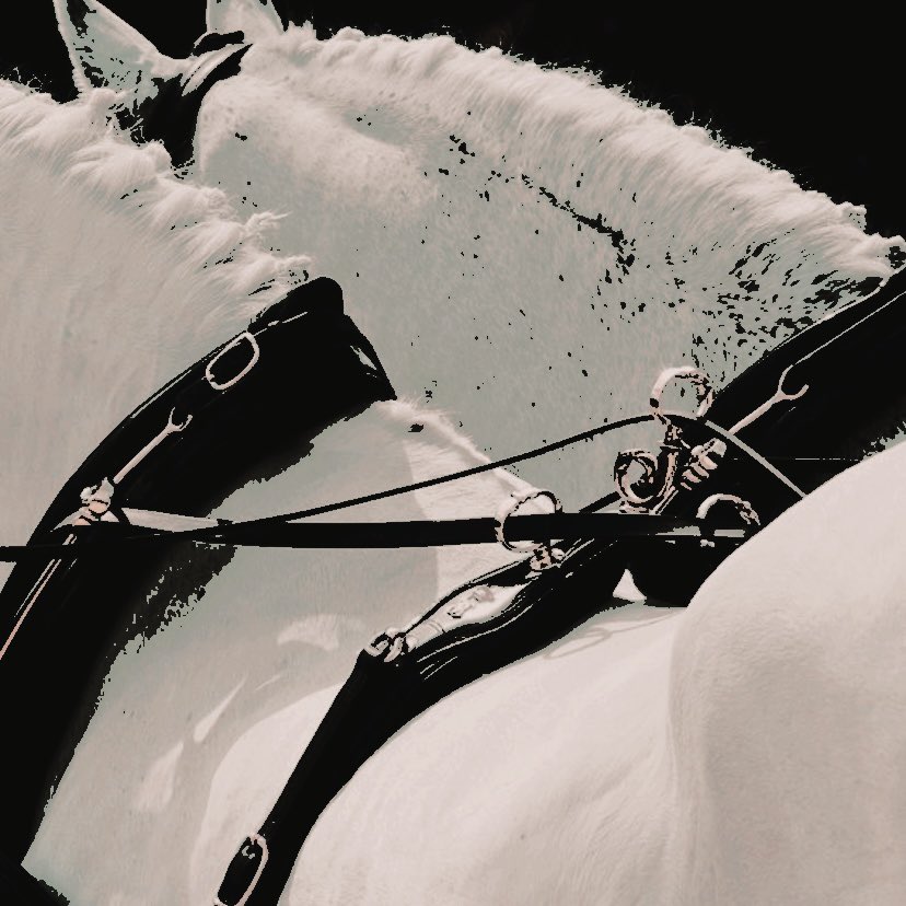 ROYALlSM's tweet image. ⠀⠀⠀⠀⠀⠀⠀⠀⠀⠀

⠀⠀⠀⠀⠀* 𝚈𝙾𝚄𝚁 𝙼𝙰𝙹𝙴𝚂𝚃𝚈, 
⠀⠀⠀⠀⠀ 𝓚ıng : Stefαno 
⠀⠀⠀⠀⠀ D’Gıordαno. ⠀⠀⠀⠀⠀⠀⠀⠀⠀⠀
⠀⠀⠀⠀