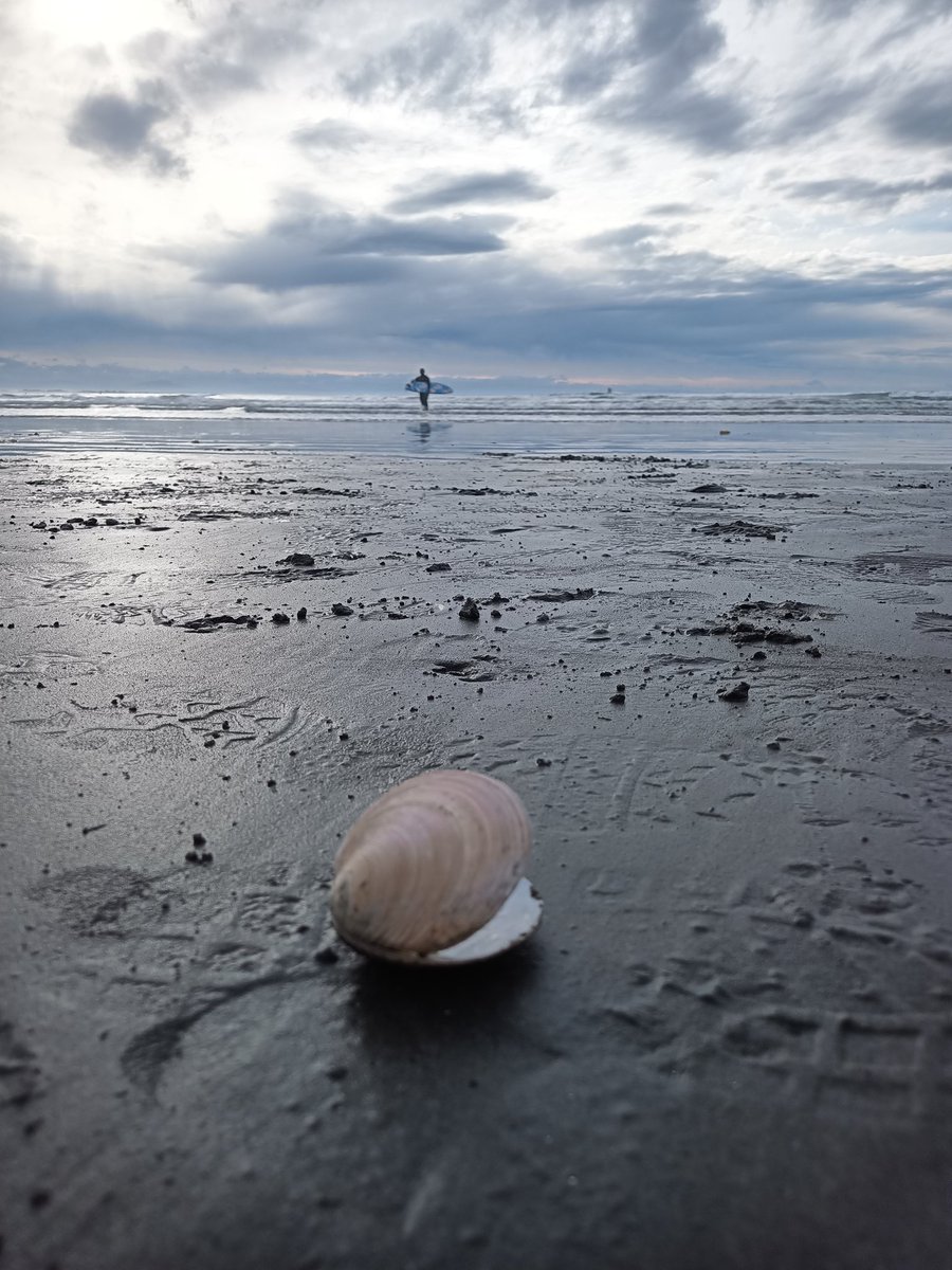 Роман (@roman_crossfit) on Twitter photo 