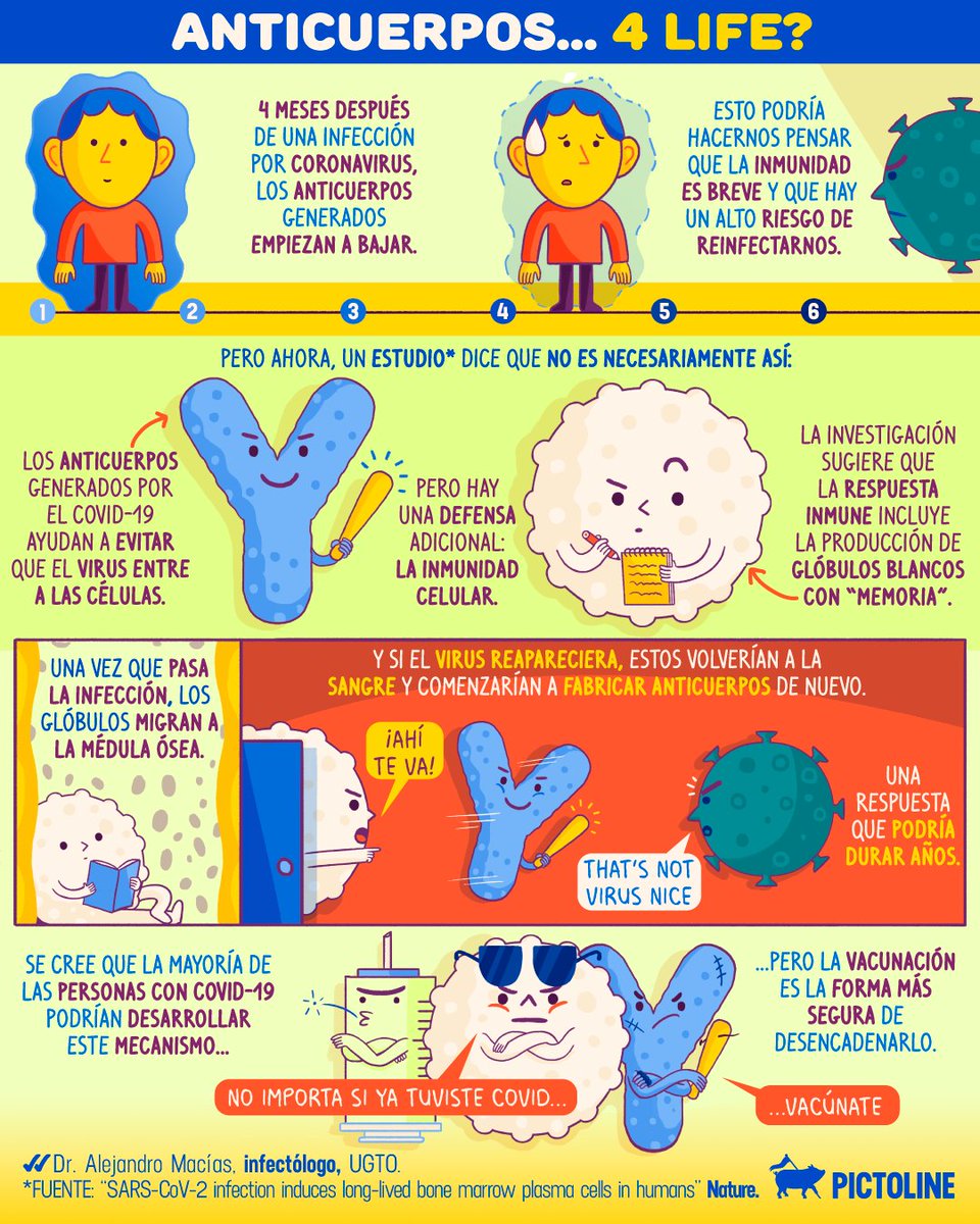 Luego de una infección por coronavirus, los anticuerpos generados empiezan a bajar 😓

Pero un estudio reciente confirmó que nuestro cuerpo tiene otra defensa que podría protegernos por varios años 😱🙌