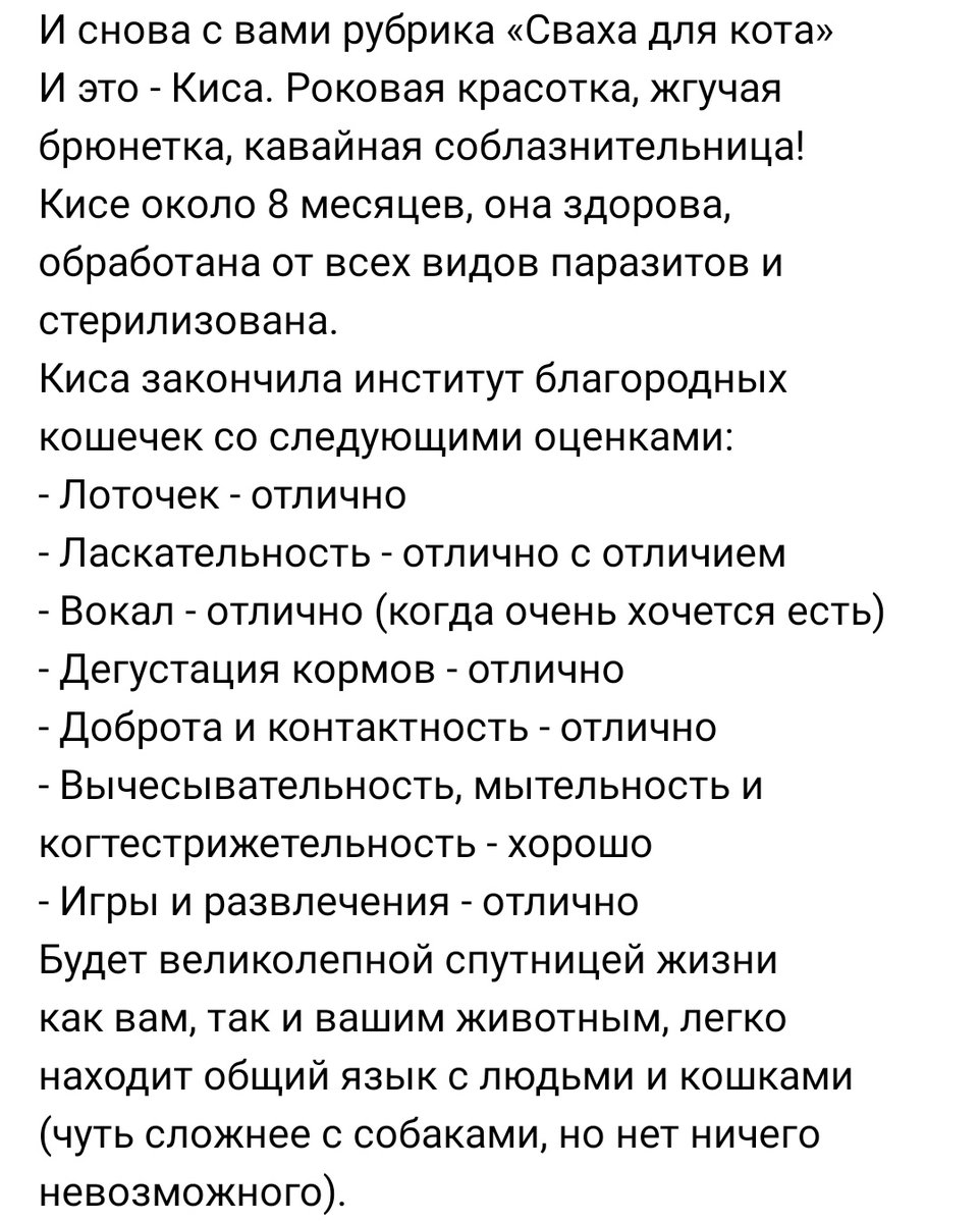 himizuka's tweet photo. Продолжаем поиски дома для Кисы! RT
https://t.co/660Cuh8WYF https://t.co/oi5Mi8IFLn