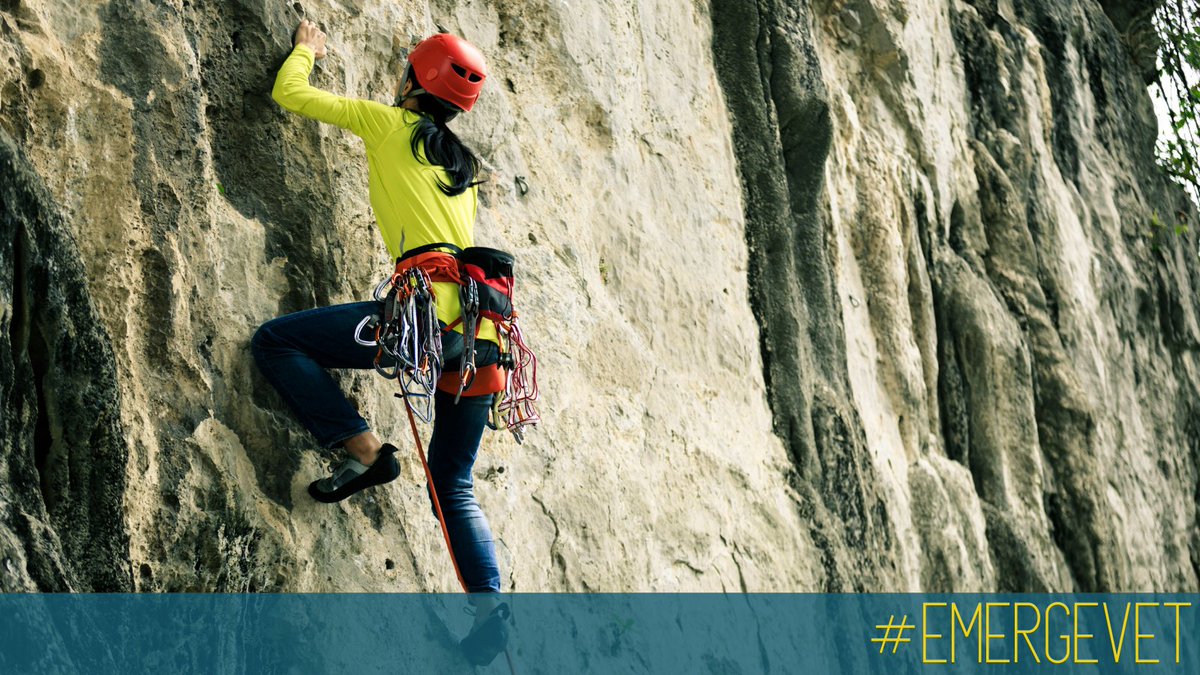 Dr Adrian Nelson-Pratt tweet media