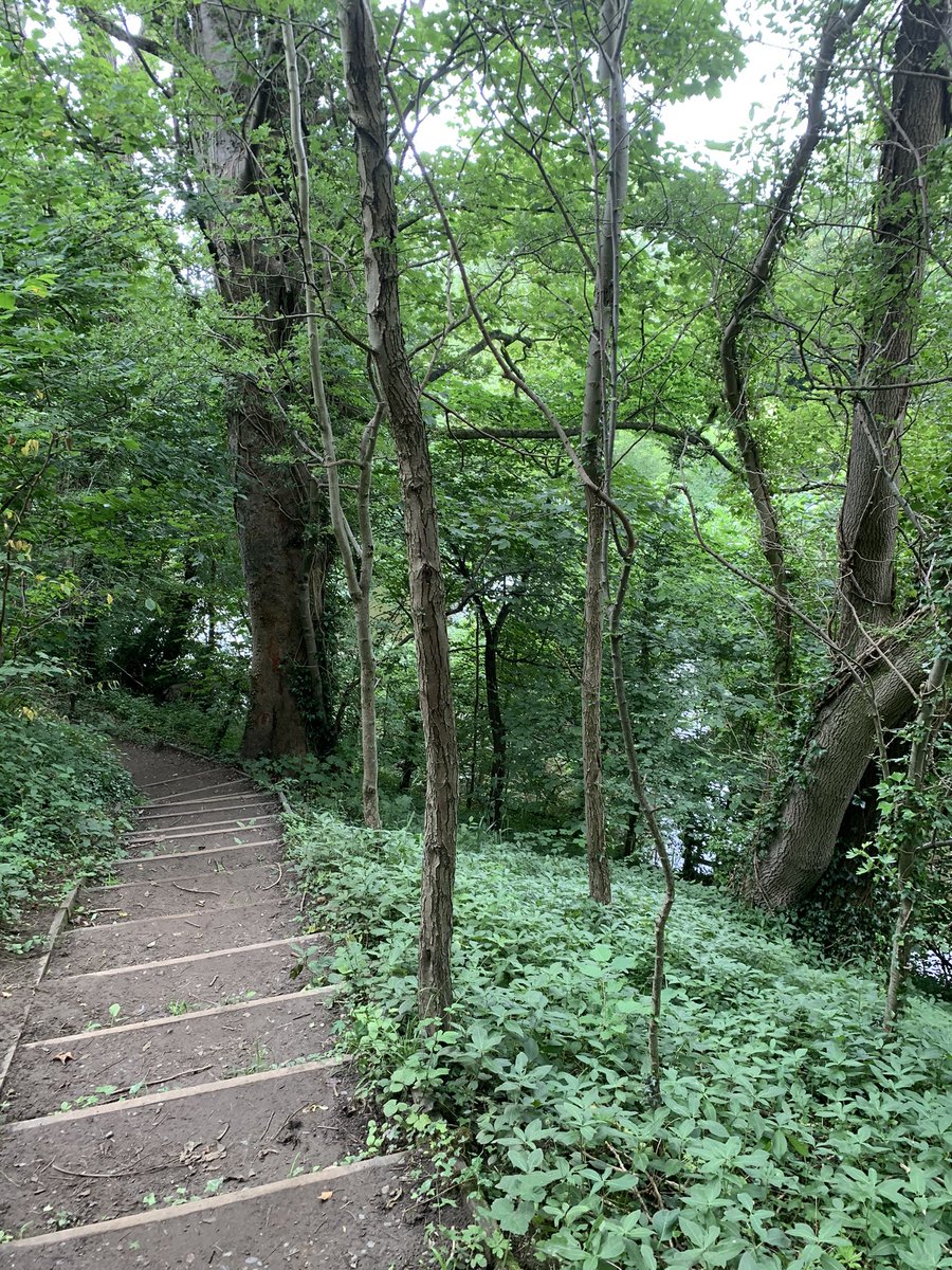 Georgina100310's tweet image. Gorgeous peaceful woodland and riverside walk from Collingham to Wetherby and back today - part of the Harewet @SlowWaysUK - a great #WalkItRideIt active travel switch @ConnectingLeeds