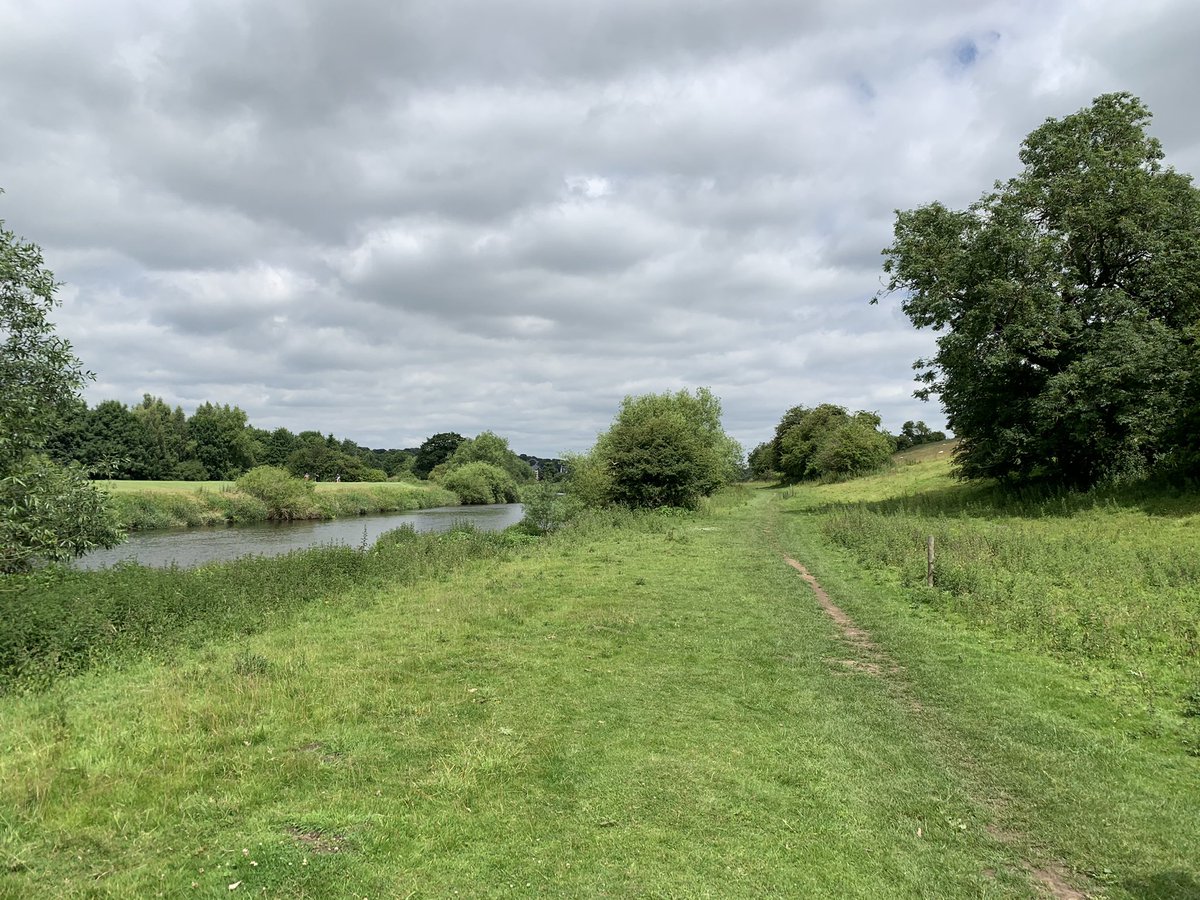 Gorgeous peaceful woodland and riverside walk from Collingham to Wetherby and back today - part of the Harewet @SlowWaysUK - a great #WalkItRideIt active travel switch @ConnectingLeeds