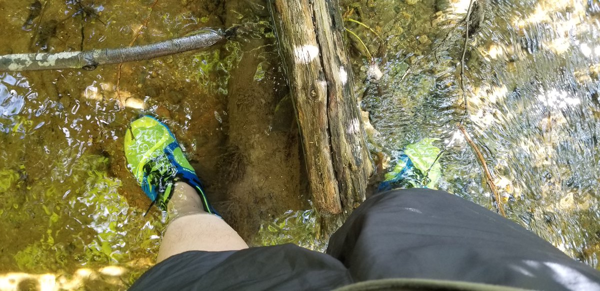 haughtdamnmyjam's tweet photo. I am knee deep in river water chilling with a bunch of cool people 😎

Just royalty things 👑

More set life pics. /stakeoutlife 

@svpergrl 

#SetRoyalty #stakeout https://t.co/ObgzeCuD1a