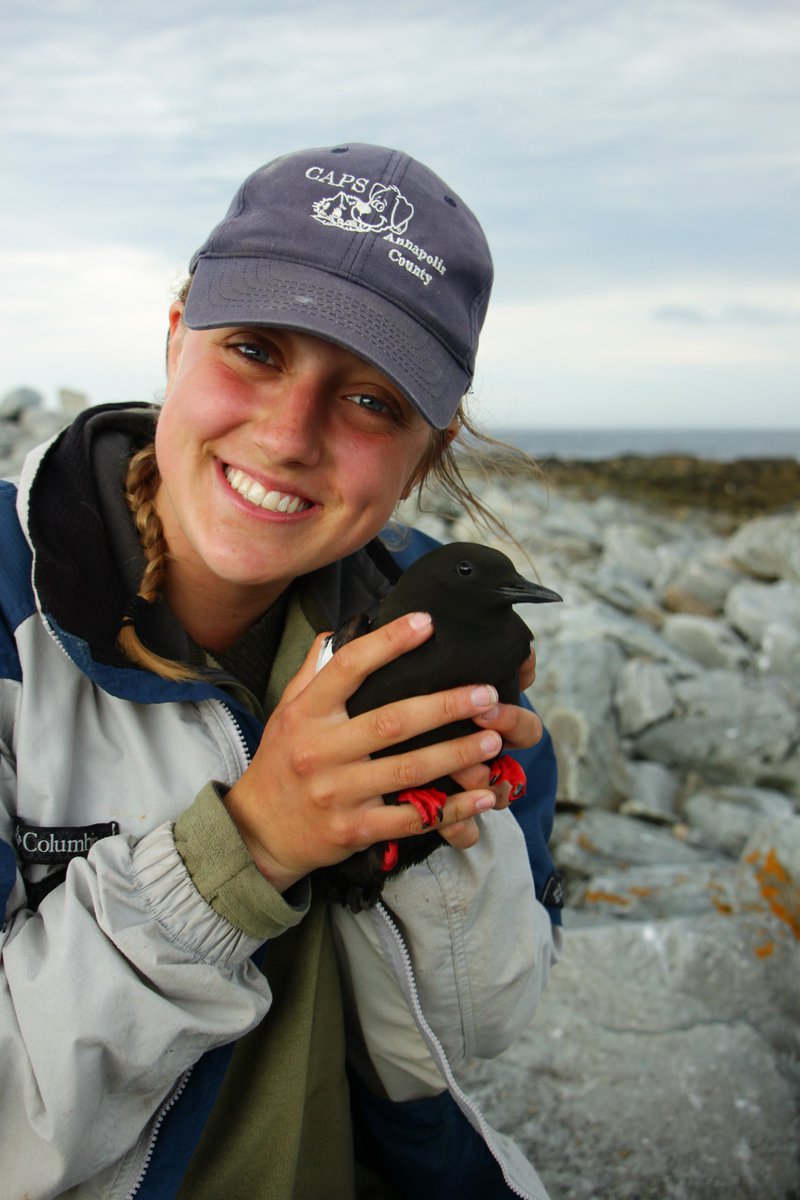 Thrilled to announce that @juliaellenbaak (MSc at @AcadiaU) was awarded a prestigious Vanier Scholarship for her #seabirds and #plasticpollution PhD research with @ArcticEcology, @jenni_pro and myself ... CONGRATS!!!! @NSERC_CRSNG #VanierCanada vanier.gc.ca/en/scholar_sea…
