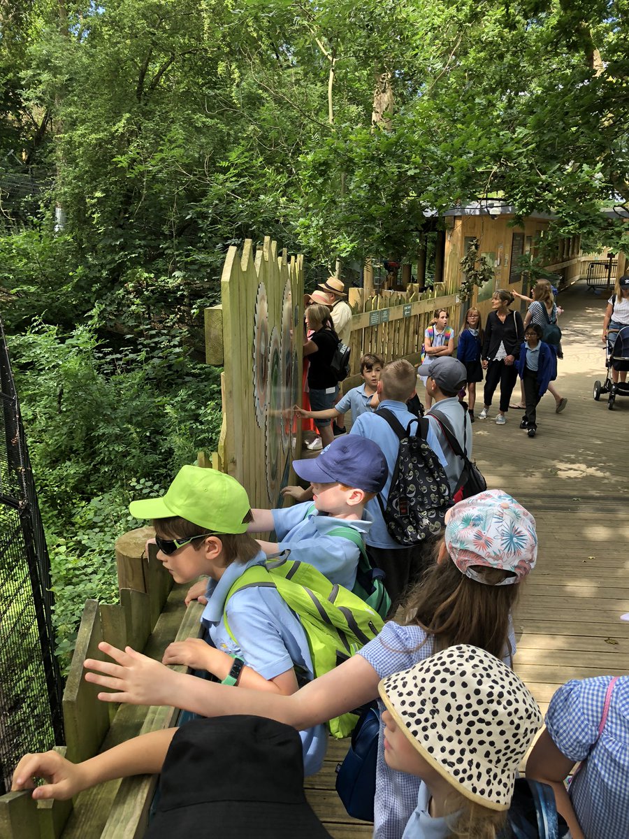 Thanks <a href="/wild_place/">Wild Place</a> for a great day out with Chinchilla class from Stanton Drew.