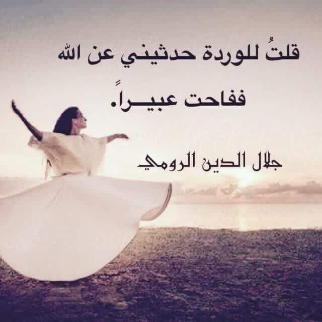 Tatcher\\ (تاتشر\\(أُم ريان tweet media