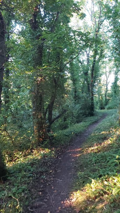 Soo. Went out on a weekend away, https://t.co/30gD6Q5ZZo