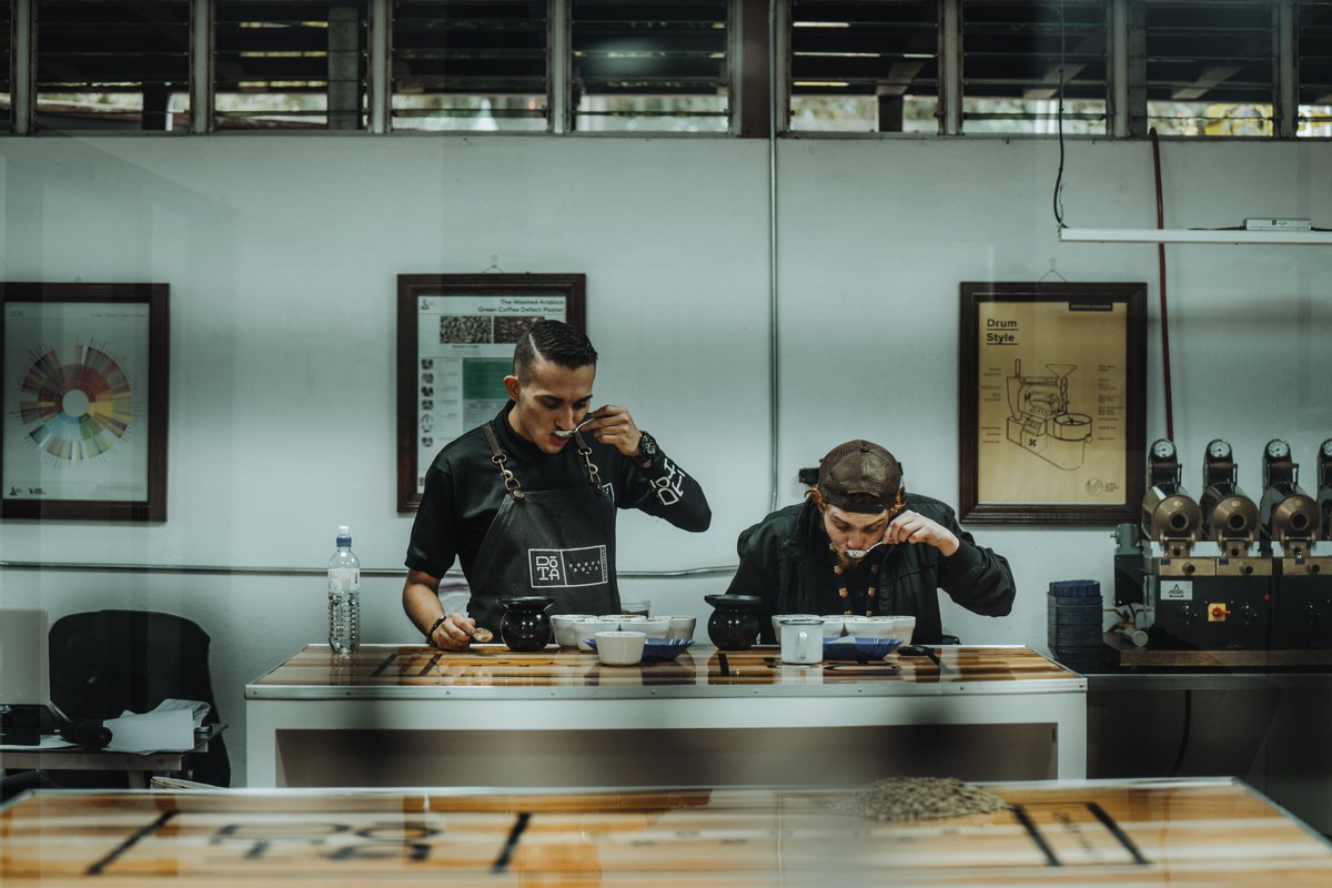 Hora de catar muestras para próximas exportaciones. El control de calidad es fundamental en todo nuestro proceso. #CafédeCostaRica #CoffeeLover #CalidadCoopedota