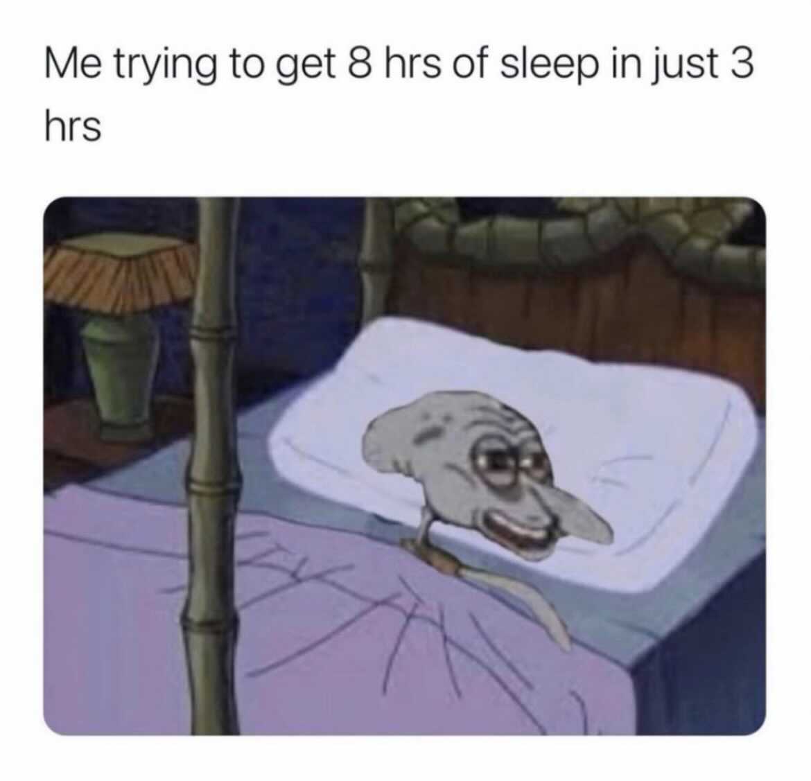 Annie Dolan Wissner (@anniewissner) on Twitter photo 