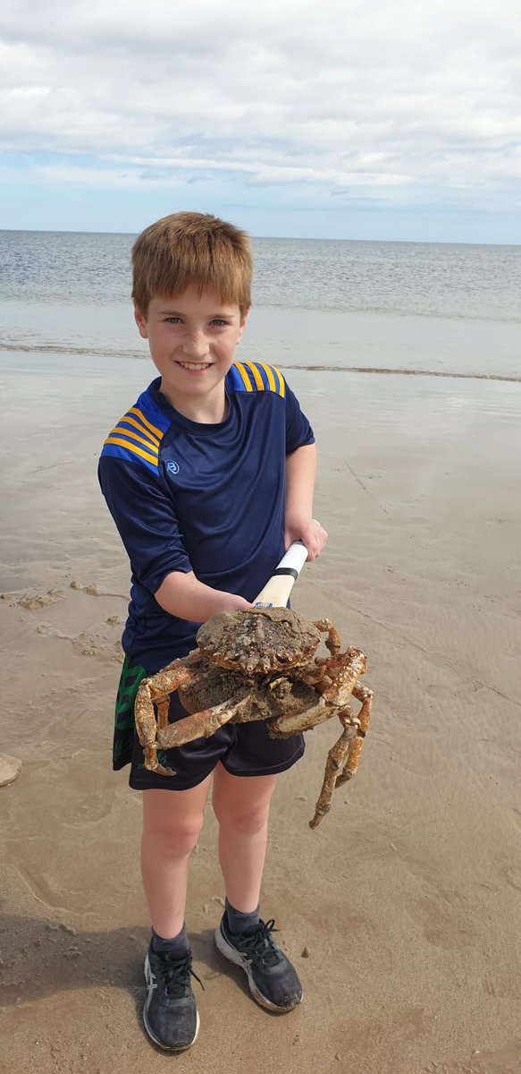 geogsteff (@geogsteff) on Twitter photo When you’re at the beach with your hurl but not your net, no worries <a href="/BourkeSports/">Bourke Sports</a> got you covered 😜 When you’re at the beach with your hurl but not your net, no worries <a href="/BourkeSports/">Bourke Sports</a> got you covered 😜