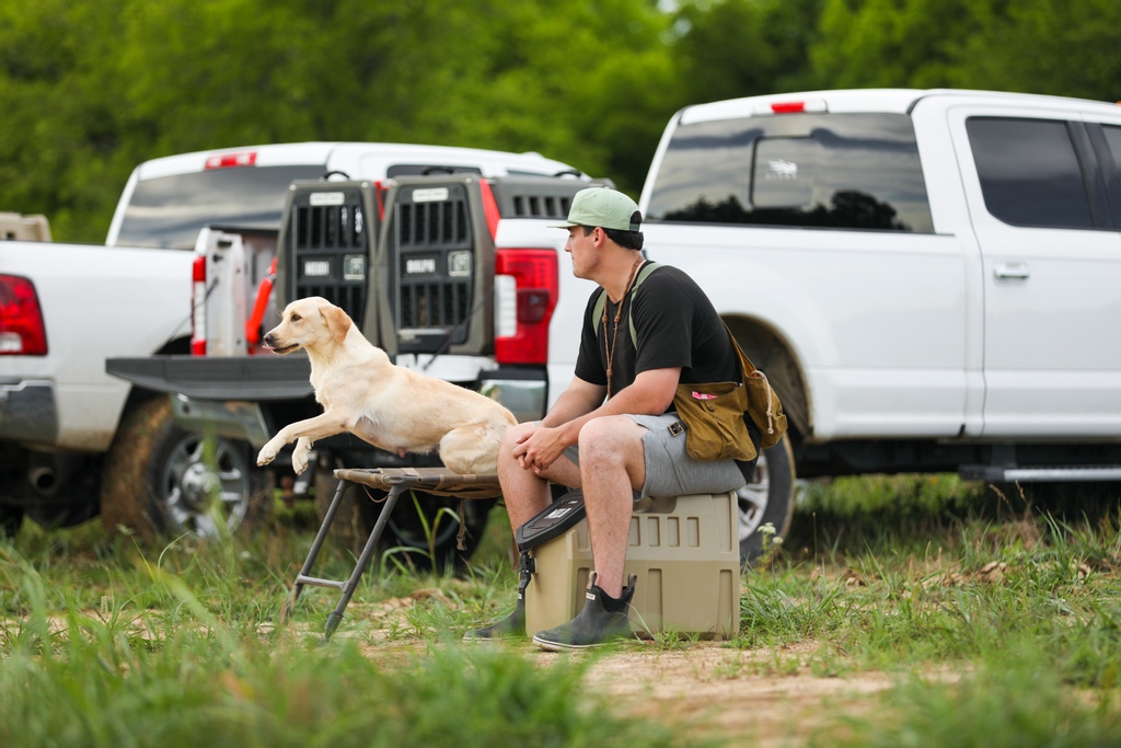 Gunner_Kennels's tweet photo. Making the most of these warm summer evenings with some offseason water work. | https://t.co/MoXJAMzAqB
#GunnerDogs | #DesignedForEverywhere https://t.co/3YiOHkIVz5