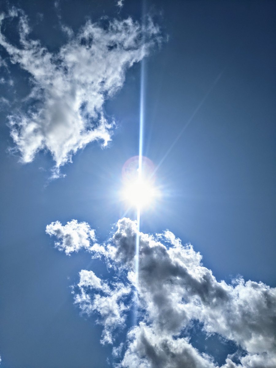 Aries_love417's tweet photo. Sunshine ☀️ #raysfordays #Summertime https://t.co/3yIlEq3rB0