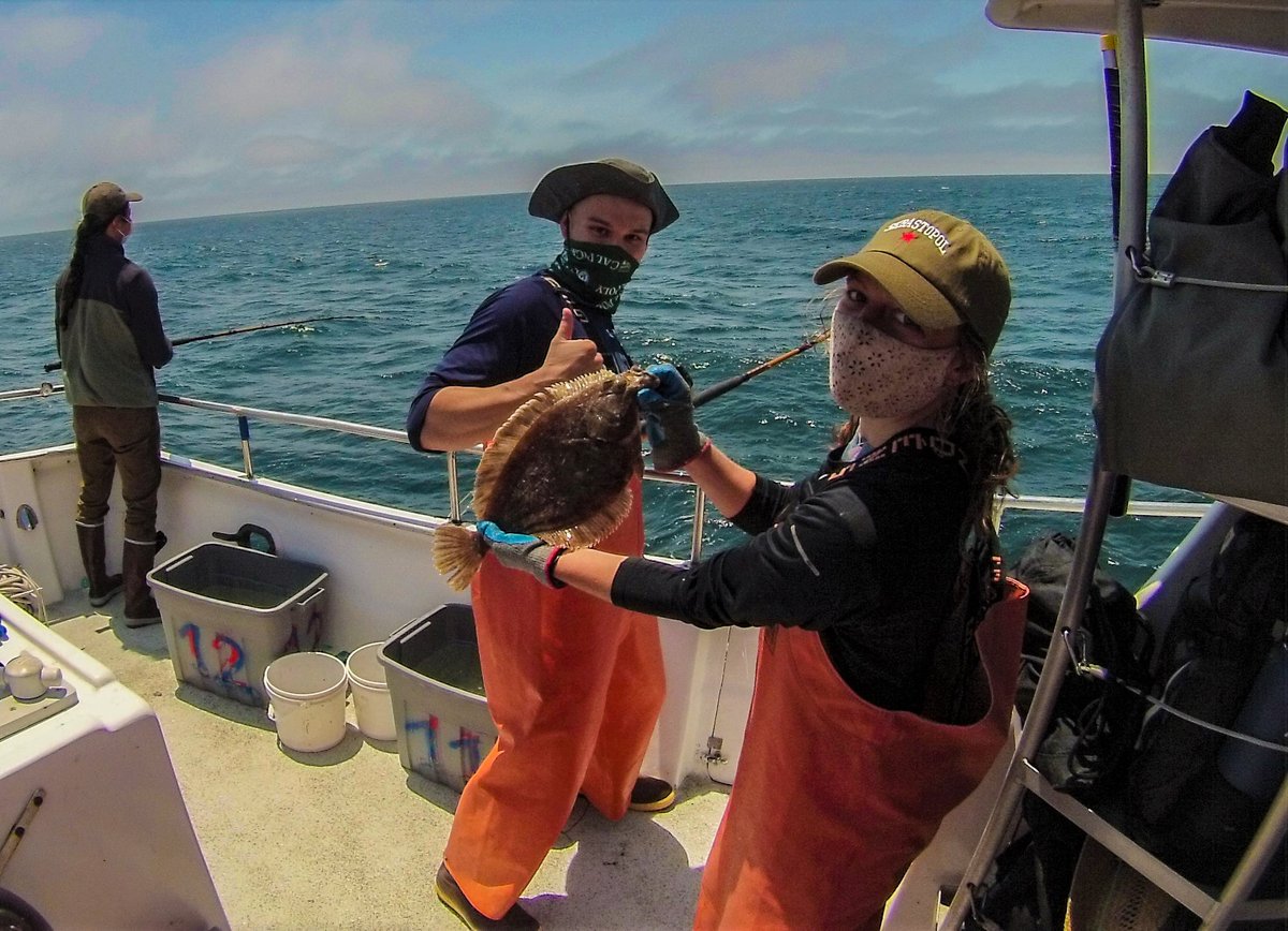 CCFRP (@ccfrp) on Twitter photo The 2021 Cal Poly CCFRP sampling season is underway!
They sampled the Piedras Blancas reference site where they caught & released 225 fishes from 11 different species. #MPAresearch
Big thanks to the volunteer anglers, captain & crew of the Rita G. from <a href="/VirgsLanding/">Virgs Landing</a>! The 2021 Cal Poly CCFRP sampling season is underway!
They sampled the Piedras Blancas reference site where they caught & released 225 fishes from 11 different species. #MPAresearch
Big thanks to the volunteer anglers, captain & crew of the Rita G. from <a href="/VirgsLanding/">Virgs Landing</a>!