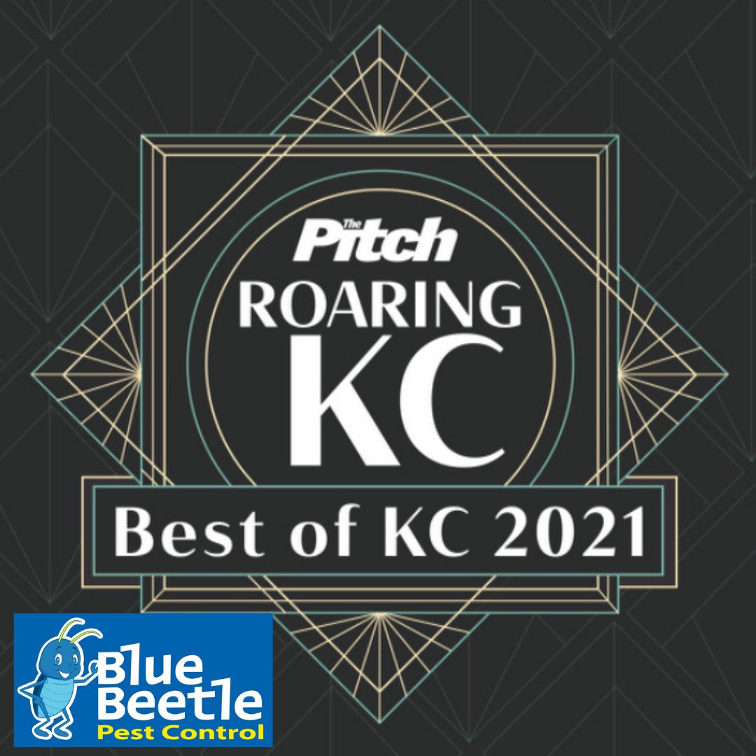 Have you nominated Blue Beetle For Best Pest Control in KC for <a href="/TheFastPitch/">The Pitch</a>? 

If not just follow this link below and nominate us for this years voting! 💙💙

vote.thepitchkc.com/goods-and-serv…