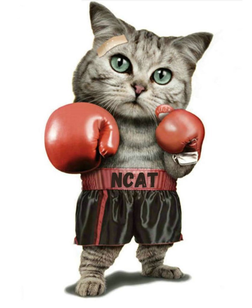 SegaOneMen's tweet photo. @MikeTyson Mr. Mike, just look at this product , it will explode just like you did in 1985  🔥🔥🔥PUMP🔥🔥🔥🔥
@ncattoken $ncat @alphacapitalven❤️ @ncattoken🐱 
$ncat❤️ $safemoon🚀 $btc💣 $bnb🔥 $doge
https://t.co/WtrdCiv6RG https://t.co/ajcm8z9jxo