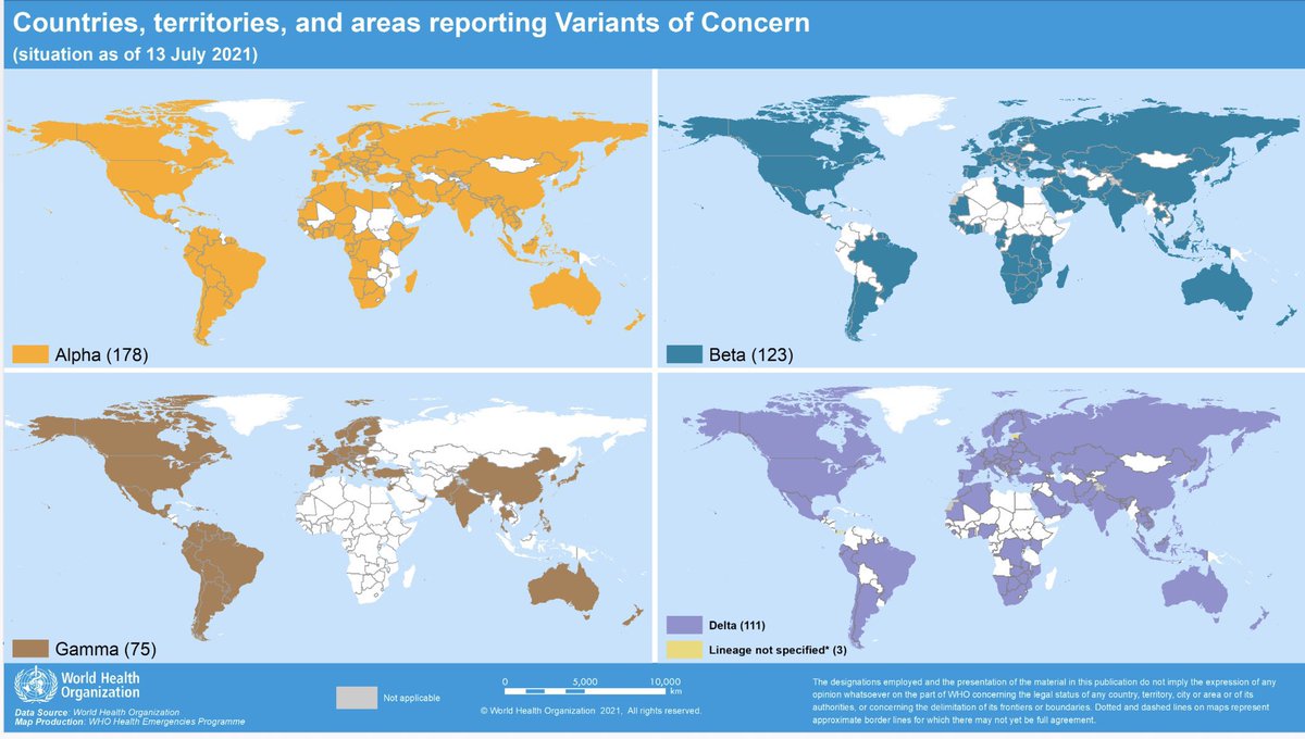 Ангиотензин-превращающий фермент 2 (ace2). Распространение картинка. Sars-cov-2 дельта штамм. Карта вирусов в мире. Распространение коронавируса в мире.