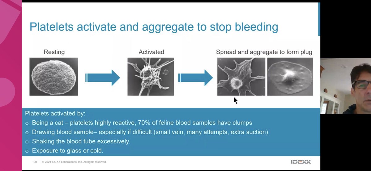 Aga Zoltowska tweet media