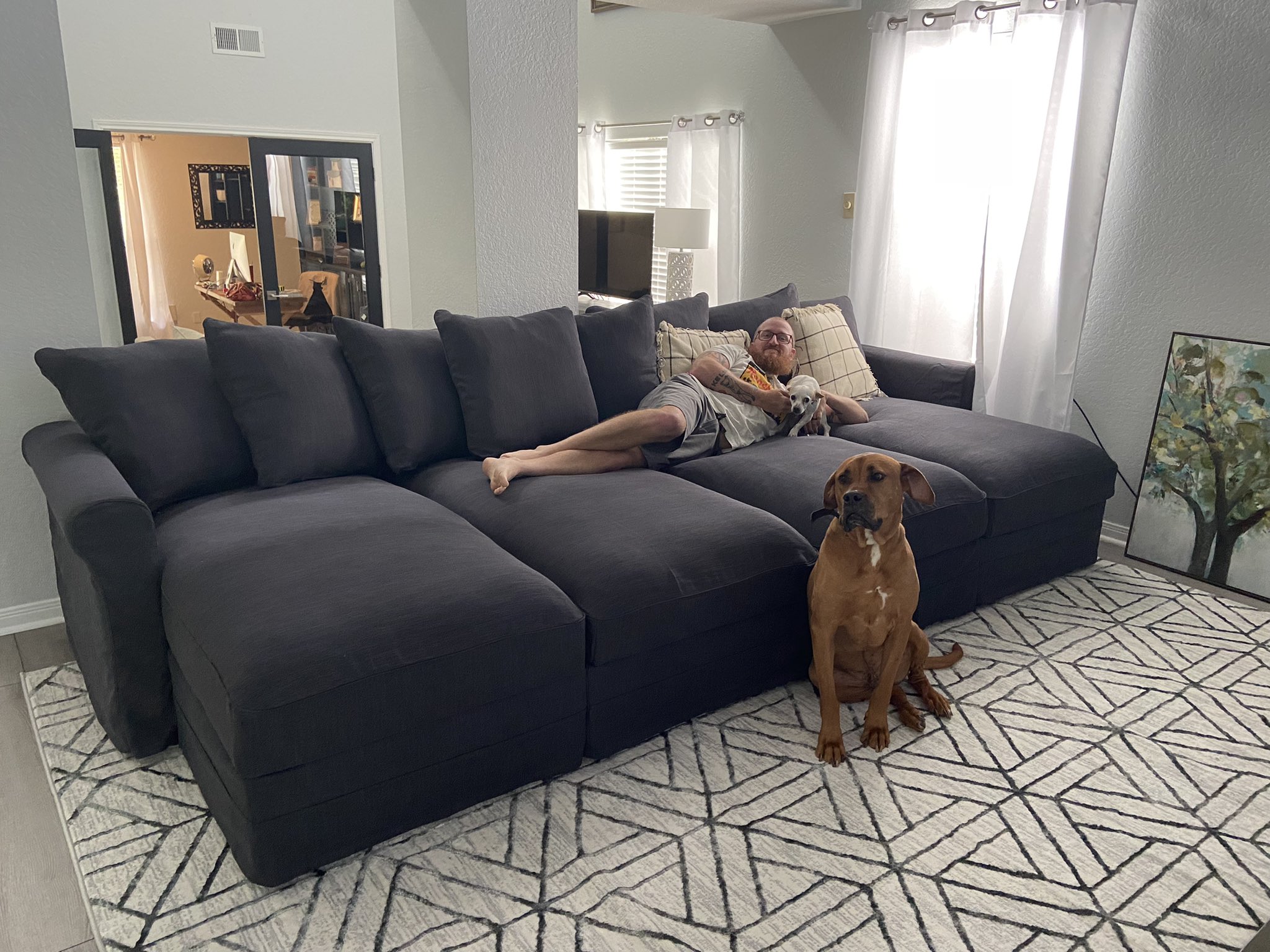 Chaps on Twitter "Introducing mega couch https//t.co/q3CshgAY59