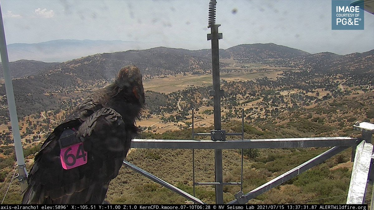 CA Fire Scanner tweet media