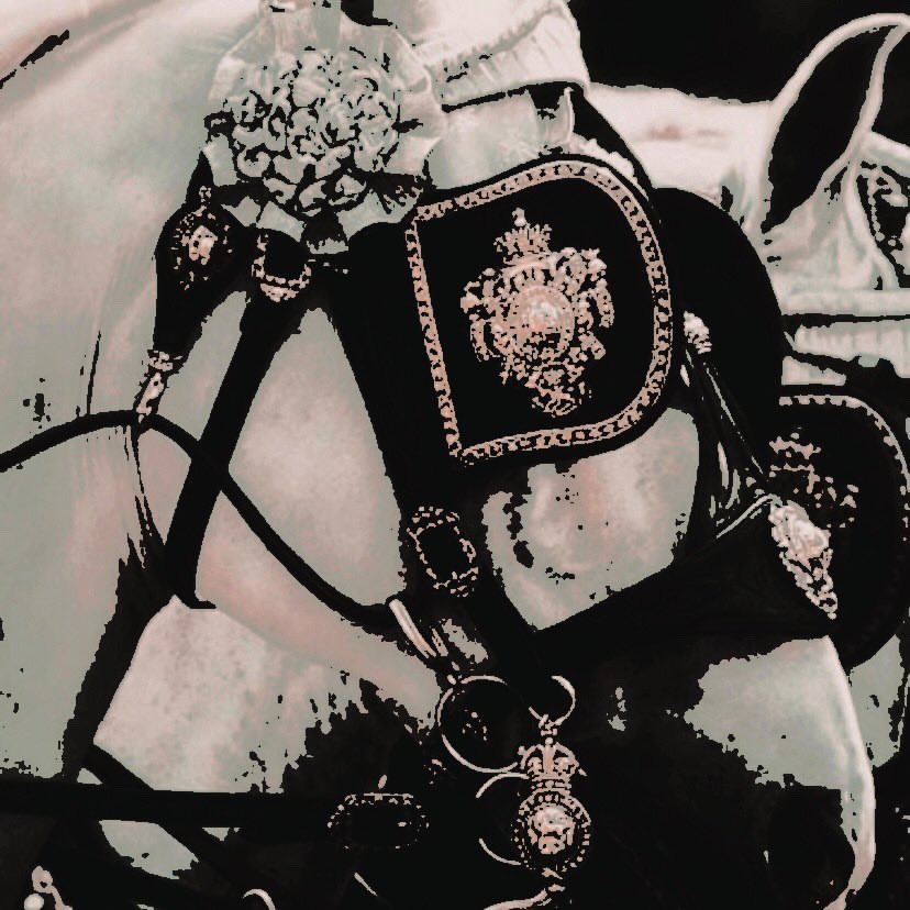 ROYALlSM's tweet image. ⠀⠀⠀⠀⠀⠀⠀⠀⠀⠀

⠀⠀⠀⠀⠀* 𝚈𝙾𝚄𝚁 𝙼𝙰𝙹𝙴𝚂𝚃𝚈, 
⠀⠀⠀⠀⠀ 𝓚ıng : Thomαs 
⠀⠀⠀⠀⠀ Buckınghαm. ⠀⠀⠀⠀⠀⠀⠀⠀⠀⠀
⠀⠀⠀⠀