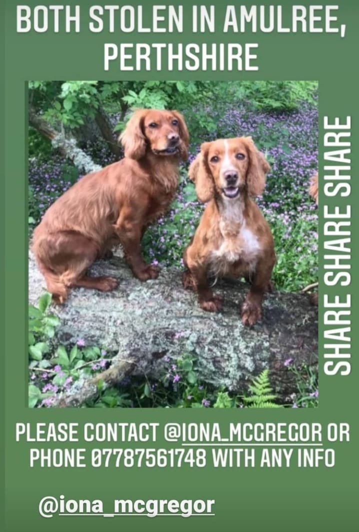 Share the hell out of this. It CAN make a difference. 
#Perthshire #stolen #Amulree