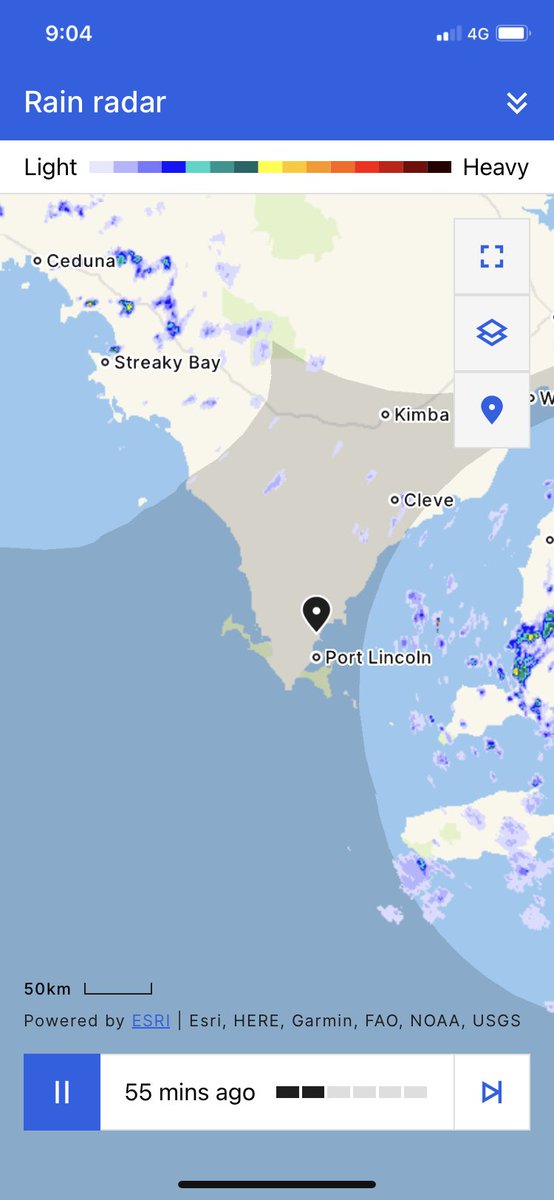 Kingsley Macdonald tweet media