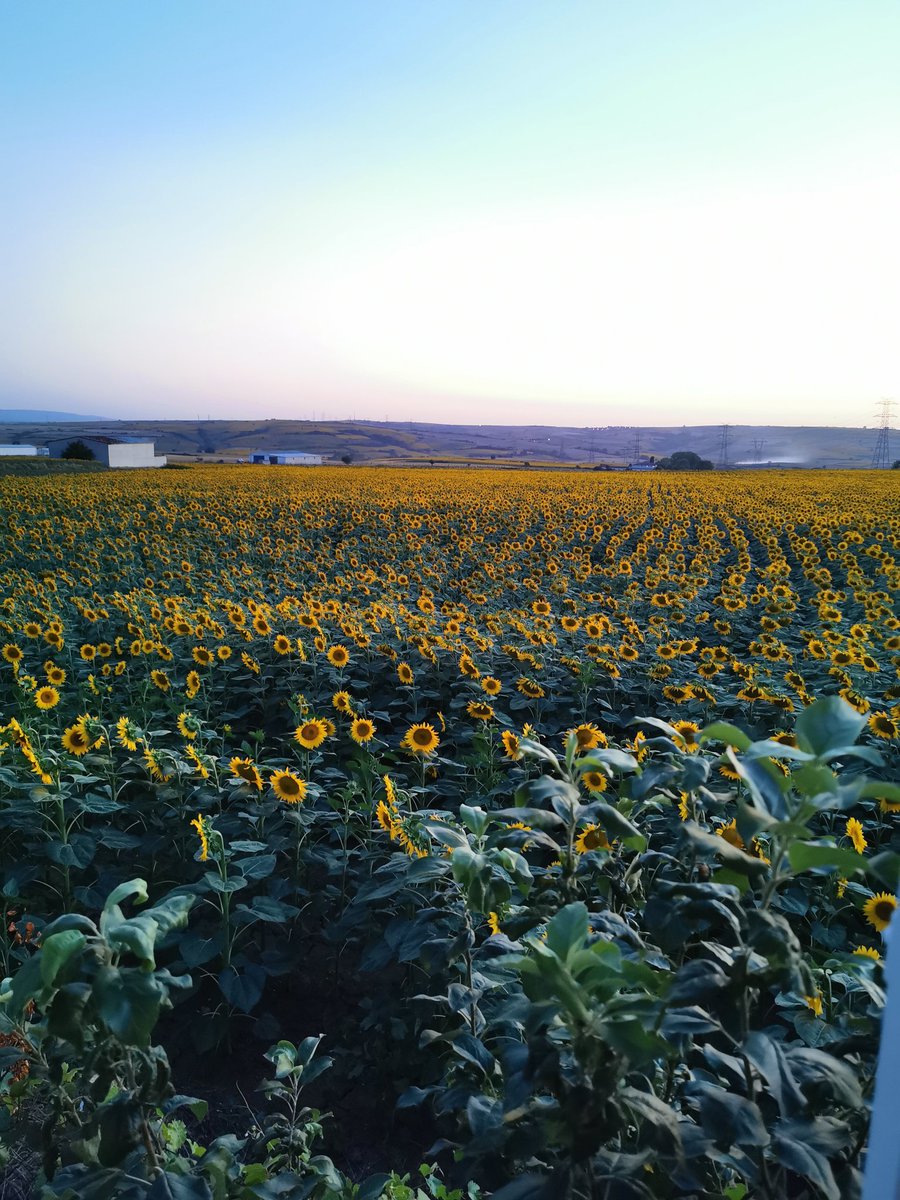 İYİ Kİ TRAKYALIYIM CANIM KÖYÜM BÖYLE GÜZEL Bİ KÖY DAHA YOK DÜNYADA