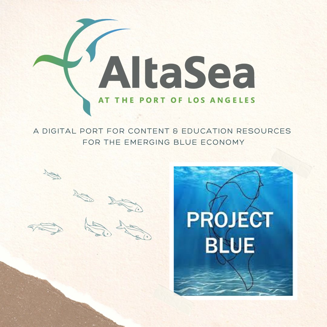 We would like to thank AltaSea for hosting ECO’s Learn at Home lessons on their Project Blue website: altasea-project-blue.org
If you like ECO’s e-lessons, you’re sure to like what AltaSea Project Blue has to offer! 
🌊🐠🐋
#saveoceans #edchat #elearning #scichat #pblchat #lrnchat