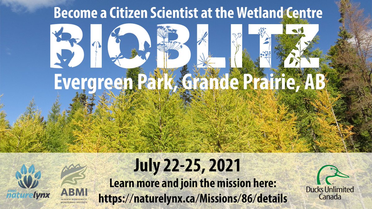 DUCBoreal's tweet photo. Help us record biodiversity at the Wetland Centre in Grande Prairie, AB! We welcome citizen scientists to participate in a BioBlitz event at the Wetland Centre July 22 to 25! Learn more and RSVP here https://t.co/RPe7dgmUPx. https://t.co/sKnwwVCfF4