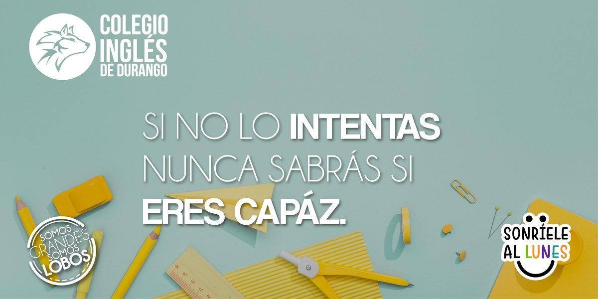 CIDDurangolobos's tweet photo. ¡Excelente inicio de semana! 😁

#siempregrandes #siemprelobos #desdepequeñoquieroserlobo #lobossiempreunidos #lobosencasa https://t.co/ne2Ge4vHDy
