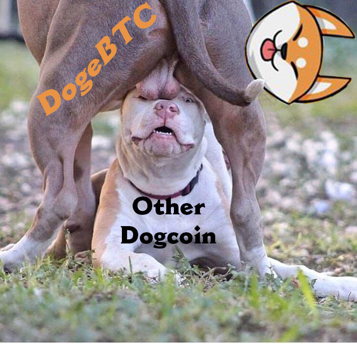 bruinehenk's tweet photo. Buy and hold $DogeBTC to earn BTC!!!
⏰ July 18th at 5 PM UTC on DxSale

@therealdogebtc

@elonmusk

@cz_binance

 #DogeBTC  #DOGE

https://t.co/rinNgewuxv https://t.co/yeCjdu26XT