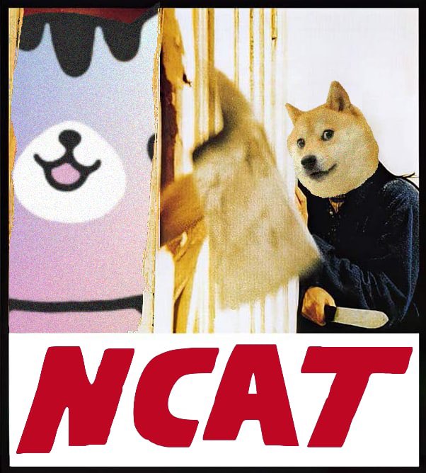 SegaOneMen's tweet photo. @HenricusGloria @dogecoin You can't get away from @ncattoken https://t.co/JAu2dkECjI