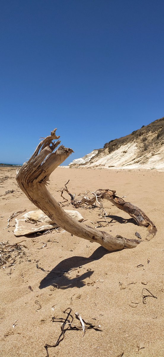 masetticristina's tweet photo. #TorreSalsa #Sicily #italy
What the sea returns..
๐๐๐ฑ
There is nothing more poetic than a walk by the sea. https://t.co/Qn5XYPiT6W