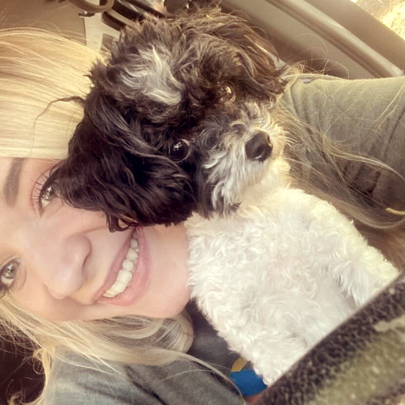 longdogfatcat's tweet image. Dry processed foods only contain around 10- 12% moisture where raw foods are upwards of 70% moisture. It’s clear which option will keep your pet properly hydrated.

Pictured is Rosie! She has been fully raw for almost a year now and she loves it!

#hydrationfordogs