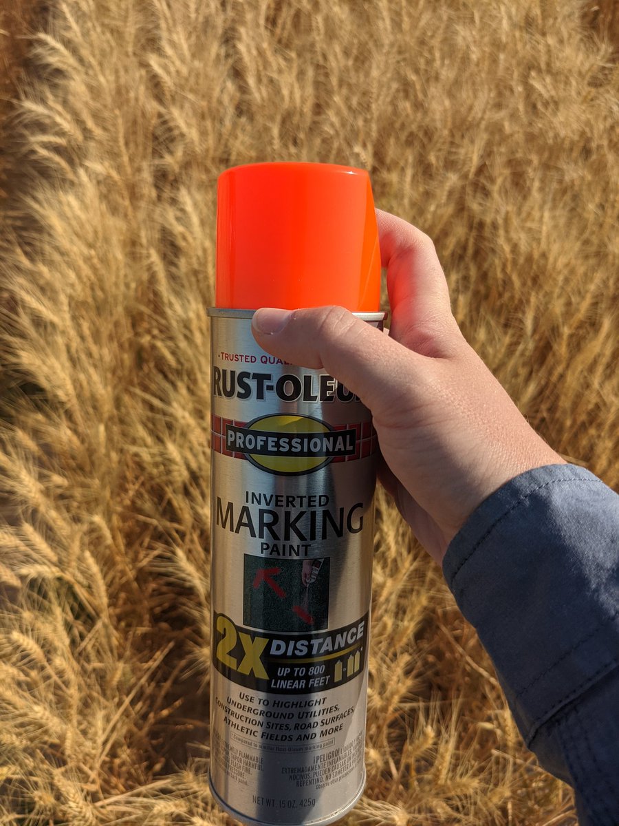 Nikayla Strauss, PhD tweet media