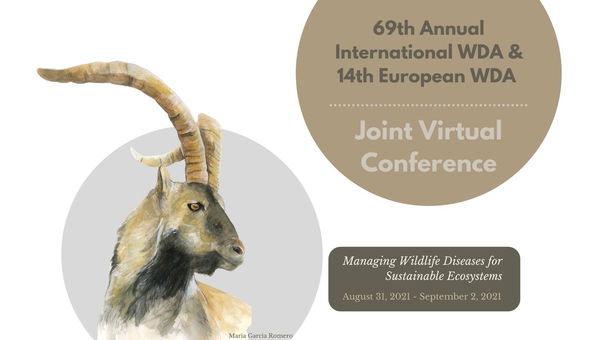 The 69th Annual WDA / 14th Biennial EWDA Joint Virtual Conference is fast approaching! Don't miss out on a chance to hear about the latest advances in wildlife health/disease.

Further details, a program draft, and registration can be found at: bit.ly/36IdjOt
