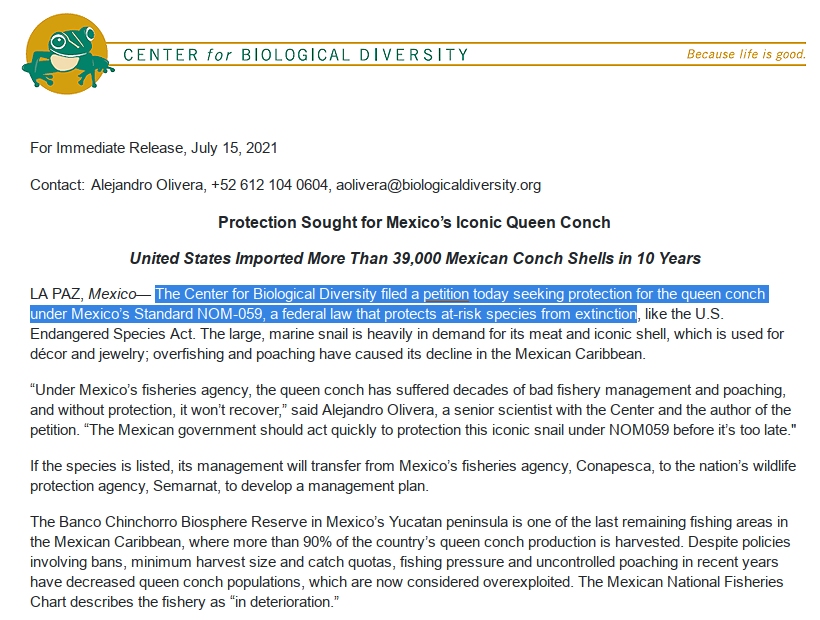 The Center for Biological Diversity filed a petition today seeking protection for the queen conch under Mexico’s Standard NOM-059, a federal law that protects at-risk species from extinction