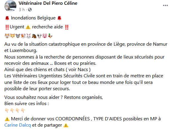 DelavegaPepita's tweet photo. 🚨🚨INONDATIONS APPEL SOLIDARITE🚨🚨
 🚨🚨BELGIQUE/LUXEMBOURG🚨🚨
 VETOS  URGENTISTES DEMANDENT  DE L AIDE !!!!
Merci de relayer #inondations
Lien FB https://t.co/nr3v2NZrNJ https://t.co/nxJ0siuyHO