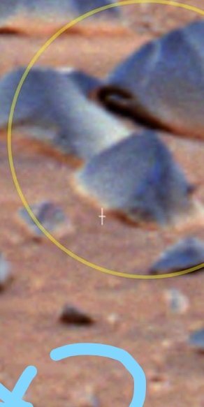 ObjectsU's tweet image. From Sprit Mars Rover. Could THIS be evidence of a hearty snake/worm like desert creature alive on Mars today? LOOK CLOSELY AT ALL 3 PICS for perspective. The rocks are about 2 feet long by 1 foot high roughly. Creature is "slithered" in between 2 rocks. We're posting OTHERS too