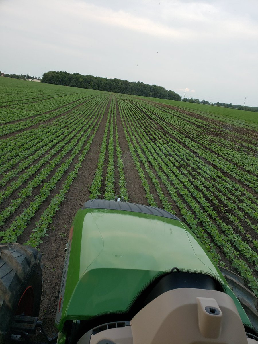 LeviHaselman's tweet photo. Some late planted 15" Organic soybeans we cultivated today with the one of the new #Fendt tractors! The #Einbok #Rowguard making it easy 👌 #NextGenOrganicFarms https://t.co/QX6rXpcFU2
